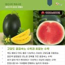 광일종합관리 이미지
