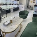 펫퍼스트 24시 강아지분양고양이분양 용인점 이미지