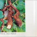 동아문화사 이미지