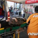 조은누리 이미지