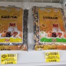 반송애견