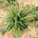 정준근농장 이미지