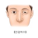 솔재활의학과의원 이미지