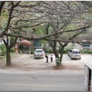 향나무민박 이미지