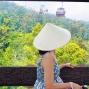 골든카정비 이미지