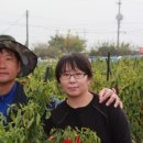 성유농장 이미지