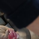 잠실푸줏간 - 송파구 올림픽로 119 | 잠실푸줏간