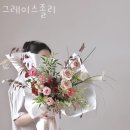 그레이스졸리