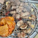 돼지영농후계자통영무전점 이미지