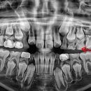 산본엘치과의원 이미지