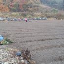 지후농장 이미지