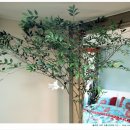 올리브나무 이미지