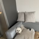 너애개만 이미지