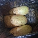 외양농장 이미지