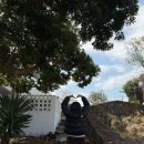 미영목장2 이미지