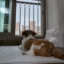 포크콘서트 설레임 | 2025. 10