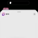 젤라 이미지