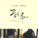 소프라노 신영옥 이미지