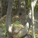 본동카페 이미지