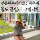 고립낙원 | 청도 풀빌라 추천! 아이들이반한 ‘고립낙원’ 가족여행 후기
