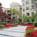 대명세라뷰 Daum카페