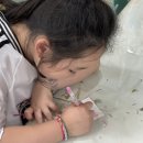 신알파