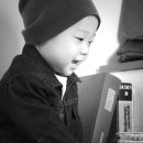 진서트리 Daum카페