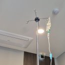 (주)시화 | [일상] 시화이비인후과 타석증 수술 후기