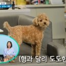 학익고등학교 이미지