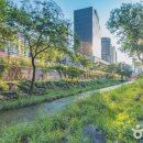 물길복원길2 이미지