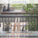 H.K GYM 석사점 | 탄 호스텔 x 카페: 끄라비 여행 추천 호텔 후기 - 숨겨진 보석 발견!
