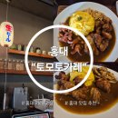 오늘카레 | 홍대 카레 맛집 추천 "토모토카레 홍대점" 솔직후기 진한 카레 인기 맛집