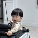 인셉트 네이버블로그