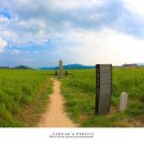 분황사주차장 이미지