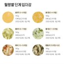 휘이 | 엘빈즈 이유식 l 시판 이유식 체험 9개월 아기 후기