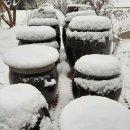 통일촌장단콩마을 이미지