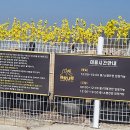 개랑나랑 네이버블로그