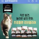 블루펫스토어
