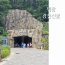 평창 섭동굴 | 강원도 평창 갈만한곳 광천선굴 어드벤처 테마파크 10월 여행지