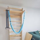 튼튼체조 | 파파우디 슈로스바 내돈내산 후기 / 해먹,체조링 바풀 운동법