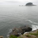 [피서 성지 순례] 바다와 해송, 기암괴석이 어우러진 해안 경승지, 부산 몰운대 (다대포해변) 이미지