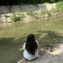 북한산물좋은사슴집 | [여름맛🍉] 북한산 물좋은 사슴집 (기록 & 내돈내산 리뷰)_애견동반 가능🐾