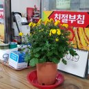 서문건강원 - 중구 큰장로12길 79 | 서문건강원