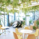 면력한방병원 이미지