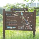 황구지천 자전거길(하천) 이미지