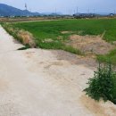 원오농장 이미지