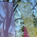 조원관광진흥(주) 이미지