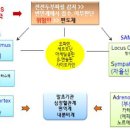 중추신경계와 면역계의 상호작용과 스트레스의 생리적 기제 이미지