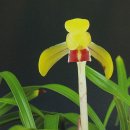 자산동011 이미지