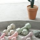 우성레포츠헬스장 이미지